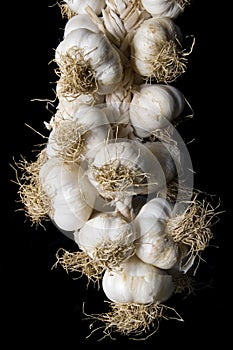 Garlic plait photo