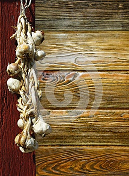 Garlic plait photo