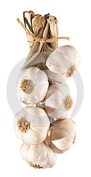 Garlic plait isolated photo