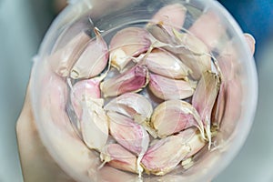 Garlic in plastic bowl