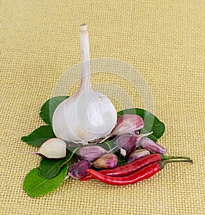 Garlic pod of red pepper chili, hot sauce ingridenty, adjika on a background of green leaves and textile