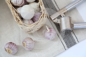 Garlic press