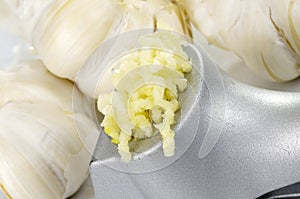 Garlic Press With Fresh Garlic