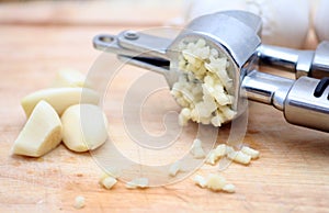 Garlic Press with Fresh Garlic