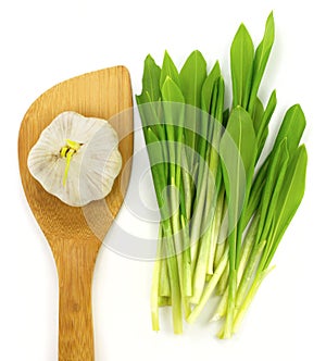 Garlic and ramsons photo