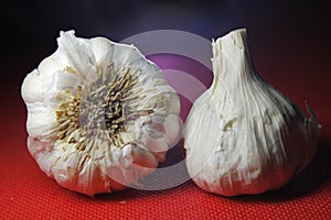 Garlic on red background with shadow