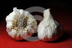 Garlic on red background with shadow