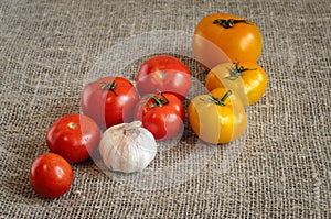 Garlic, red tomatoes on a napkin of burlap