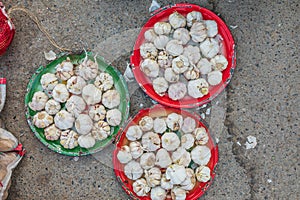 Garlic for sale at the souk in Sinaw, Oman