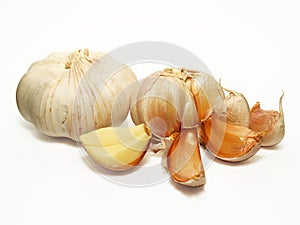 Garlic Seasoning