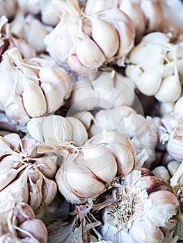 Garlic sold on a local market on Madeira Island, Portugal
