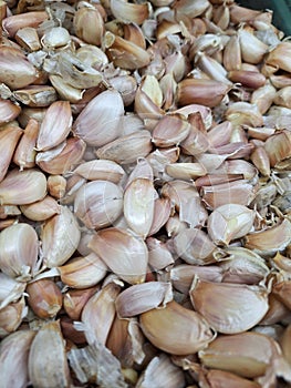 Garlic sold in supermarkets