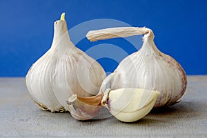 garlic is a source of immunity, close-up