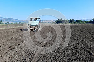 Garlic sowing by tractor, the process of planting garlic cloves in the field. The concept of spring or autumn farming