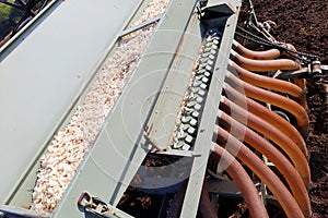 Garlic sowing by tractor, the process of planting garlic cloves in the field. The concept of spring or autumn farming