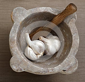 Garlic species mortar morter