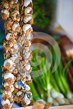 Garlic and Spring onions