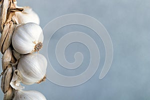 Garlic. String of garlic Close-up