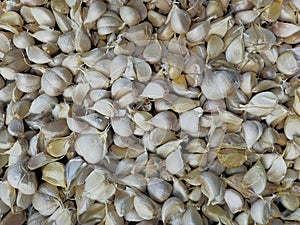Garlic texture, onion background, white onion, foodstuff, spices