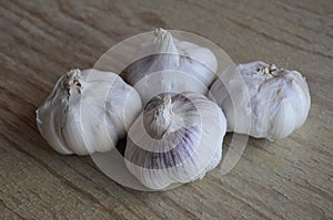 GARLIC VEGE