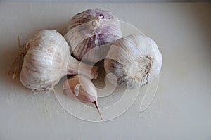 GARLIC VEGETABLE IN COPENHAGEN DENMARK