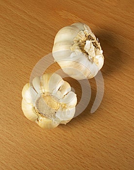 Garlic - spice photo