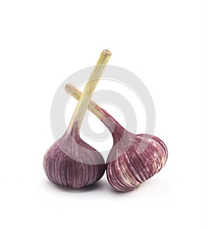 Garlic on a white background