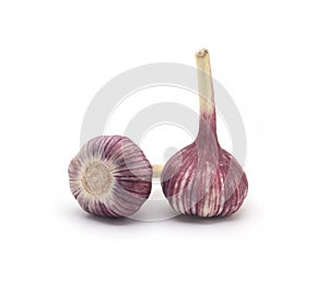 Garlic on a white background