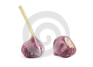 Garlic on a white background