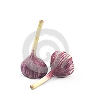 Garlic on a white background