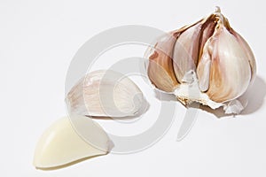 Garlic on a white background