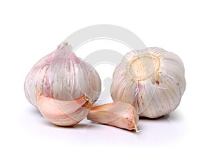 Garlic on white background