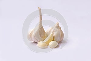 Garlic on white background