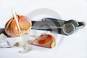 Garlic on white background.