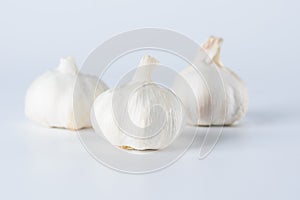 Garlic on whtie back ground photo