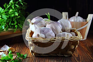 Garlic in a wicker basket with parsley
