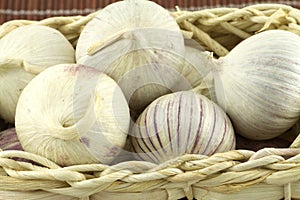 Garlic in wicker basket on straw mat macro