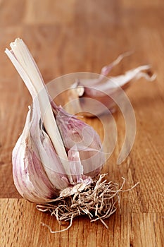 Garlic is on a wooden surface. Close-up