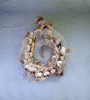 A garlic wreath hangs from on old grunge wall