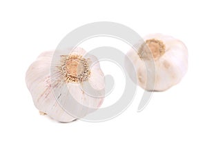 Garlicbulb isolated.