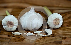 garlicoil on olivewood