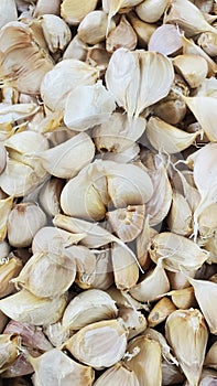 garlics batch in the supermarket display