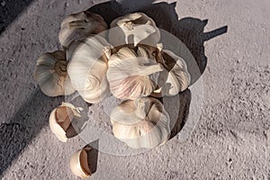 garlics on gray cement background