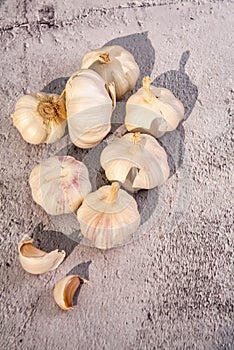 garlics on gray cement background