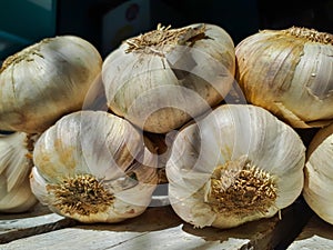 Garlics for making delicious meals