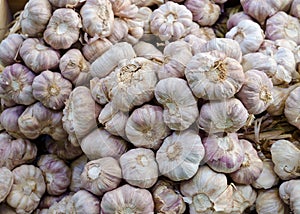 Garlics in a market