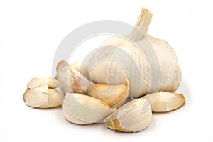 Garlics on white