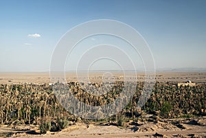 Garmeh oasis landscape in iran desert