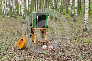 Garmonika, mandoline, maracas and fife in a forest