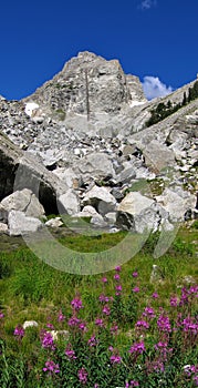 Garnet Canyon and the Middle Teton